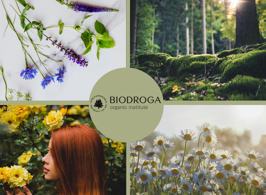 forrás: BIODROGA Hungary 2025-év Újdonsága